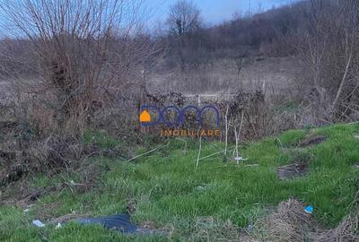 Teren intravilan 4836 mp Mehadia cu Fs la E70 - 8