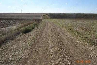 Teren de 9500 mp, în Cobadin - 2