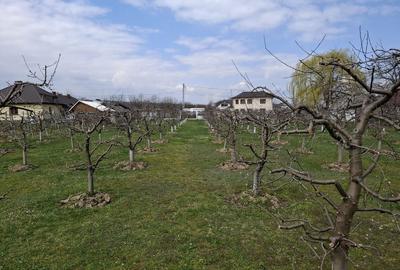 Spațiu comercial, în Răucești - 3