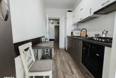 Garsonieră în Banat - 3