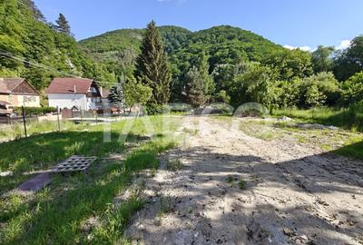 Casă individuală cu 8 camere cu Canalizare în Cisnădioara - 5