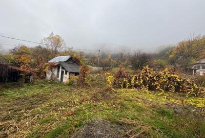 Teren de 646 mp, în Vlădesti - 1