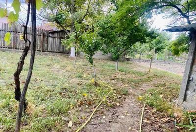 Casă cu 3 camere cu Teren 1230 Mp în Central - 6