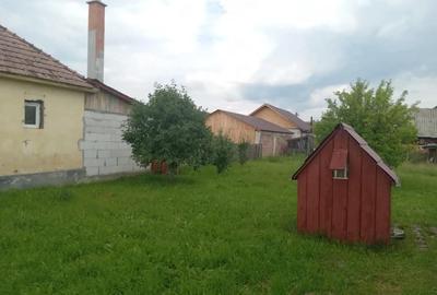 Casă cu 5 camere cu Teren 1100 Mp în Subcetate - 1
