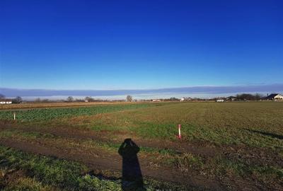 Teren intravilan in Bors cu front la 2 strazi. - 6