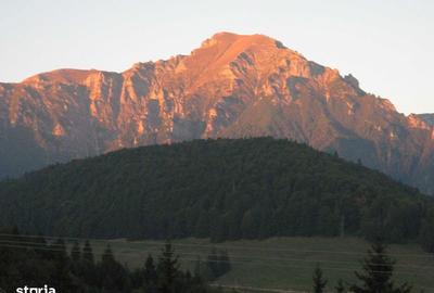 Teren de 10000 mp, în Forban - 1