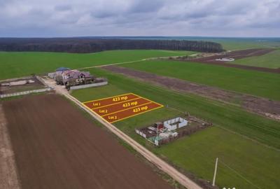 Teren în Frumușani - 3