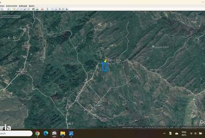 Teren de 25000 mp, în Dumitrești