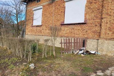 Casă cu 4 camere cu Teren 2200 Mp în Lugoj - 3