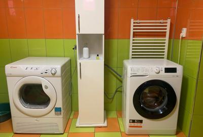 Vila 3 camere Colentina-Andronache - 10