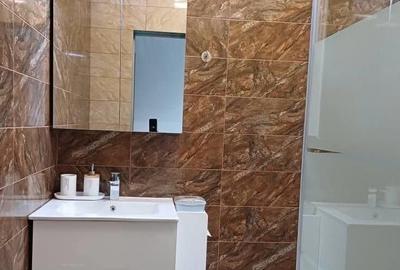 Duplex cu 3 camere cu Canalizare în Dumbrăvița - 6