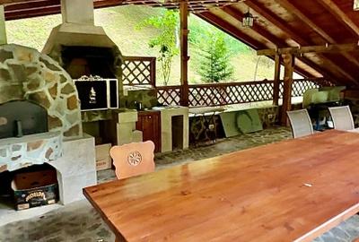 Casa de vacanta sau pensiune | Batca Doamnei | Teren in natura - 11