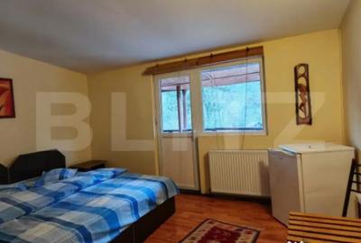 Casă cu 7 camere cu Teren 3800 Mp în Glăjărie - 9