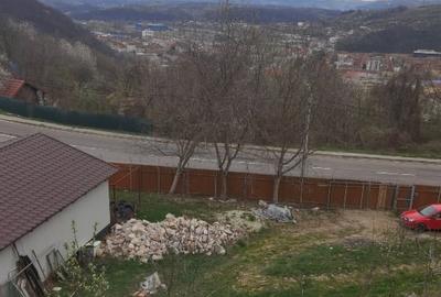 Casă individuală cu 3 camere cu Canalizare în Calea Caransebeșului - 2