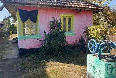 Casă cu 3 camere în Potcoava - 5