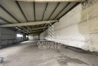 Hala 225 mp, ideala depozitare sau productie, Calea Sagului - 2