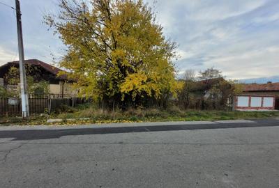 Teren intravilan, 4967 mp, utilita?i, sat Rasova, Bale? - 3