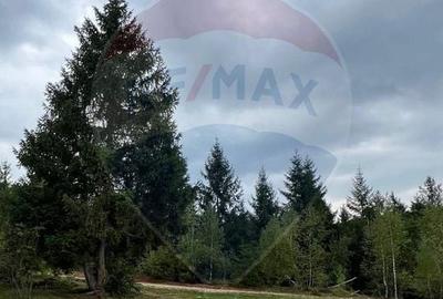 Teren agricol extravilan de 68607 mp, în Călățele - 8