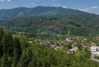 Teren de 3000 mp, în Dâmbul Morii - 8