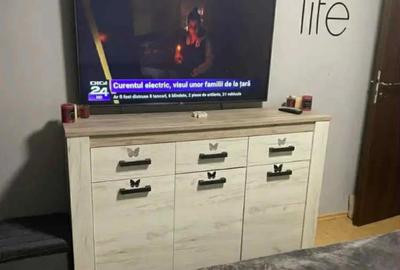 Apartament cu 3 camere decomandat în Vlahuță - 4