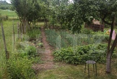 Casa cu 2 camere, 52mp, zona Remetea - 1