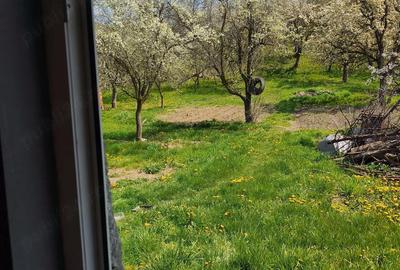 Casă cu 2 camere cu Teren 3000 Mp în Central - 3