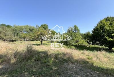 Teren Construcții intravilan de 855 mp, în Cisnădioara - 4