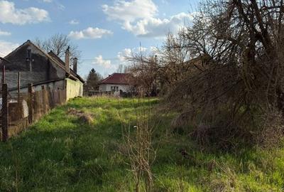 Casă cu 2 camere în Alțina - 5