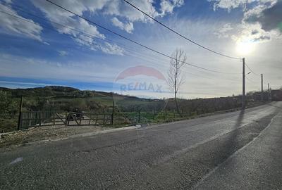 15 parcele de 1000 mp de vanzare in Breaza Prahova- toate... - 11