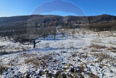 Teren de 5054 mp, în Dealul Malului