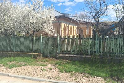 Casă cu 10 camere cu Teren 10000 Mp în Central - 3