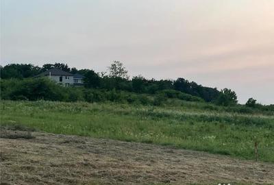 Teren de 903 mp, în Paleu - 9