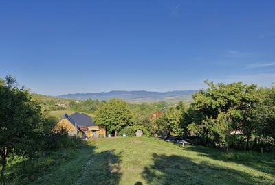 Casă cu 4 camere în Petru Rareș - 3