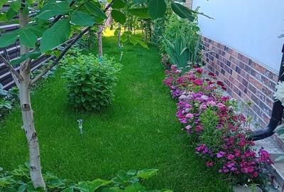 Casă cu 4 camere cu Teren 508 Mp în Tei