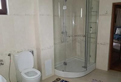 Casă cu 6 camere cu Teren 1060 Mp în Alexandru cel Bun - 12