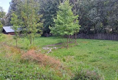 Spațiu comercial, în Sadova - 1