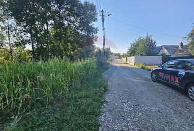 Teren Construcții intravilan de 7500 mp, în Moara Carp - 15