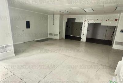 Spatiu industrial de inchiriat Central / Vitan - 1