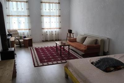 Apartament cu 2 camere semidecomandat în Muncitoresc - 4