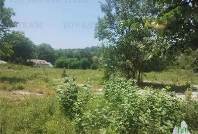 Teren intravilan construibil, excelent potential investitional Campina - 2