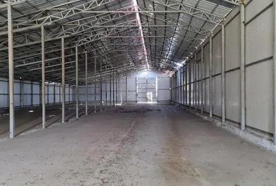 Sinesti -hala productie depozitare suprafata 1350 mp - 5