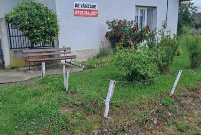 Casă cu 3 camere cu Teren 2877 Mp în Central - 7