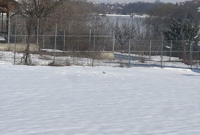 Spațiu comercial, în Balotești - 9