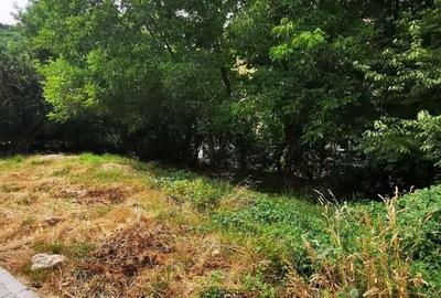 Teren Moroasa 1000 mp intravilan negociabil - 3