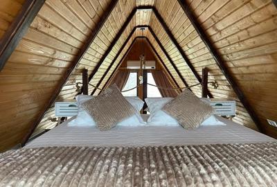 Casă cu Teren 7000 Mp în Aluniș - 9