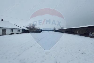 Casă cu 5 camere cu Teren 7531 Mp în Sacu - 9