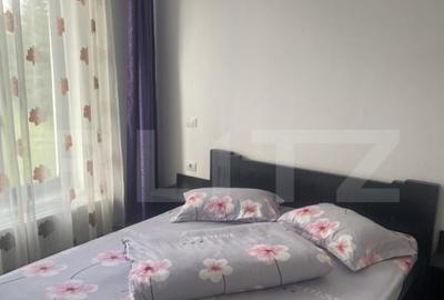 Vanzare pensiune intr-o zona superba din Poiana Negrii - 7