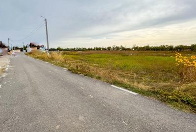 Teren de 1776 mp, în Albota