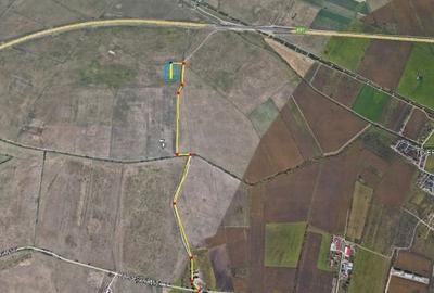 Teren agricol extravilan de 444 mp, în Turnișor - 2