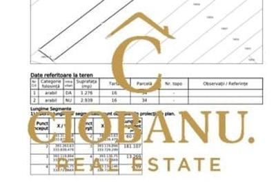 Teren Intravilan/Extravilan de vanzare in Bradestii Batrani - 5